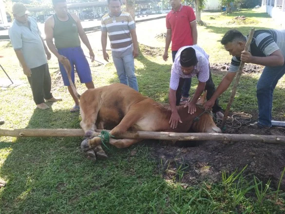 PERINGATAN HARI RAYA IDUL ADHA 1439 H PADA PENGADILAN NEGERI SIAK SRI INDRAPURA